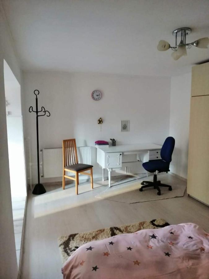 Moss'S Economy Apartment 蒂米什瓦拉 外观 照片